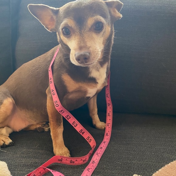 Meet your Posher, Amanda - Picture 7 of 11